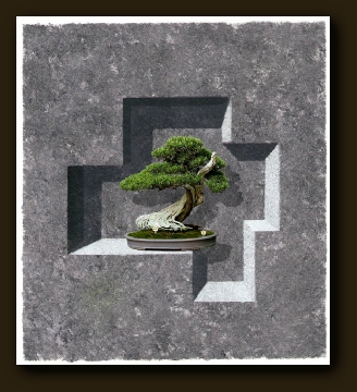 Bonsai: Conceptschets voor een Trompe-l'oeil Muurschildering 
